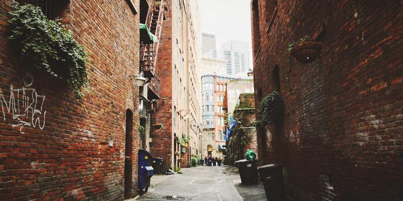 中国大师26：职业培训与专业课程如何重塑新时代教育服务生态