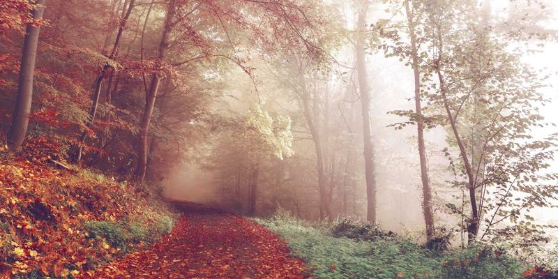 中国大师56:技能培训与教育服务如何重塑中国职业培训新生态