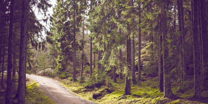 中国大师79：技能培训与职业教育的创新引领者