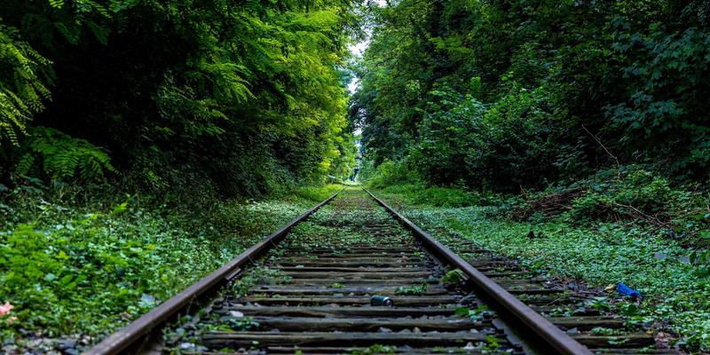 中国大师82：技能培训与教育服务如何塑造新时代专业人才