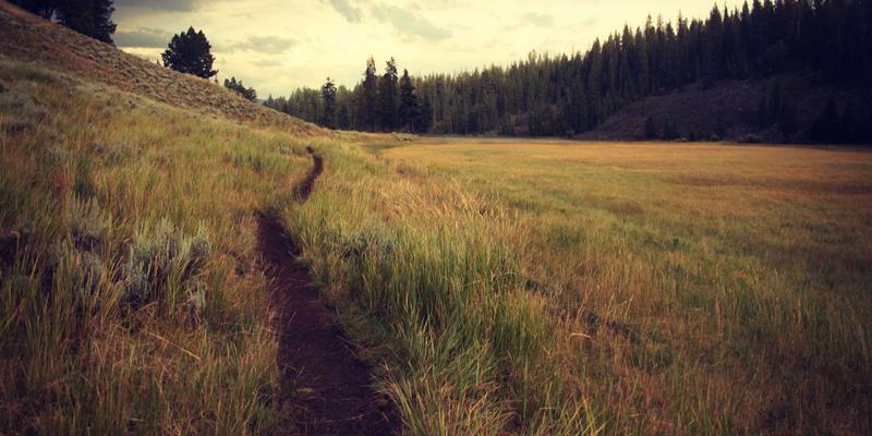 中国大师案例分析：专业课程、教育服务与职业培训的融合创新