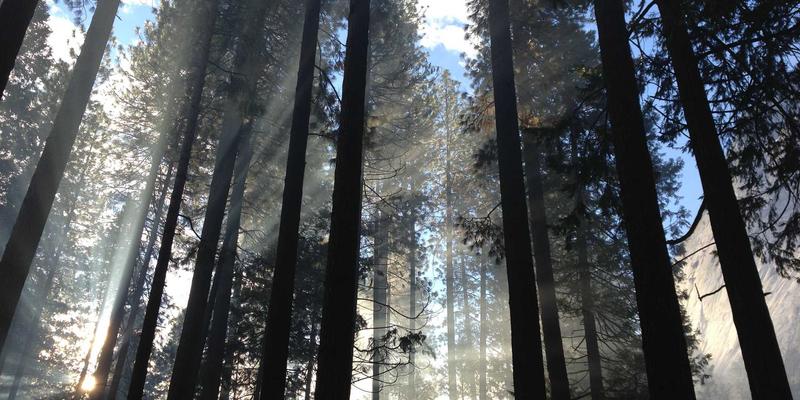 中国大师的匠心传承：从非遗技艺到现代技能培训的专业课程