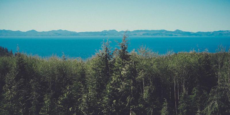 中国大师的榫卯智慧：从专业课程到当代家居的职业传承