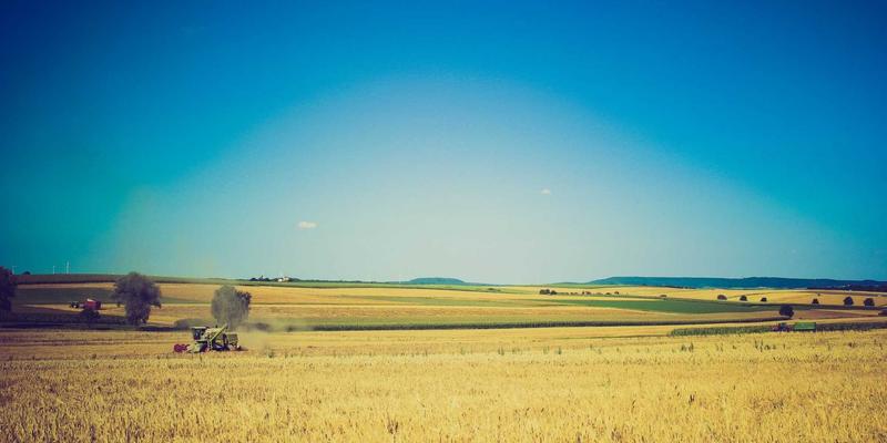 中国武术大师亲授：专业课程中的武德传承与现代健身技能培训