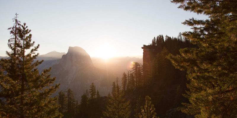 中国香道大师的嗅觉美学：传统香文化如何赋能现代职业培训与奢侈品营销