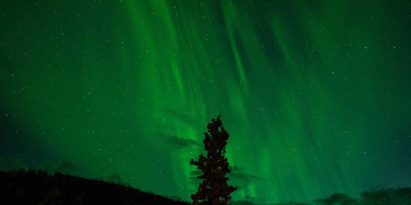 从大师笔墨到现代课堂：专业书法教育服务如何传承艺术精髓