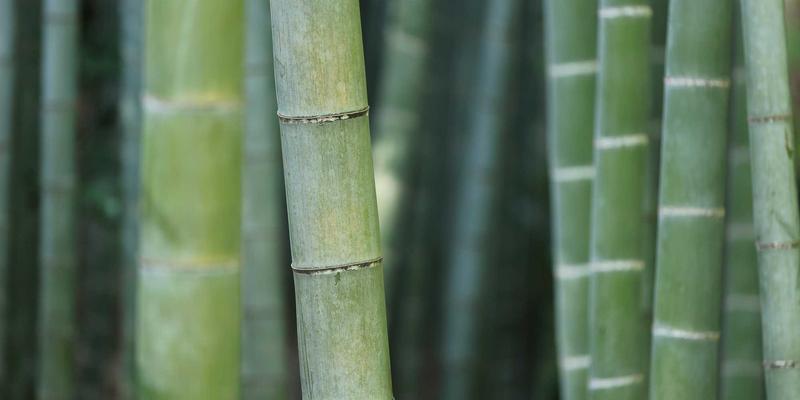 指尖上的康复:中国大师苏绣针法在医疗手部训练课程中的创新借鉴