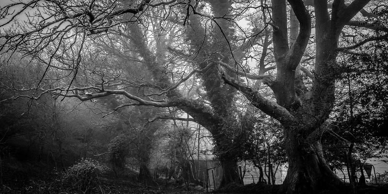 融合中国哲学大师的辩证思维：现代商业战略与决策分析课程的新维度